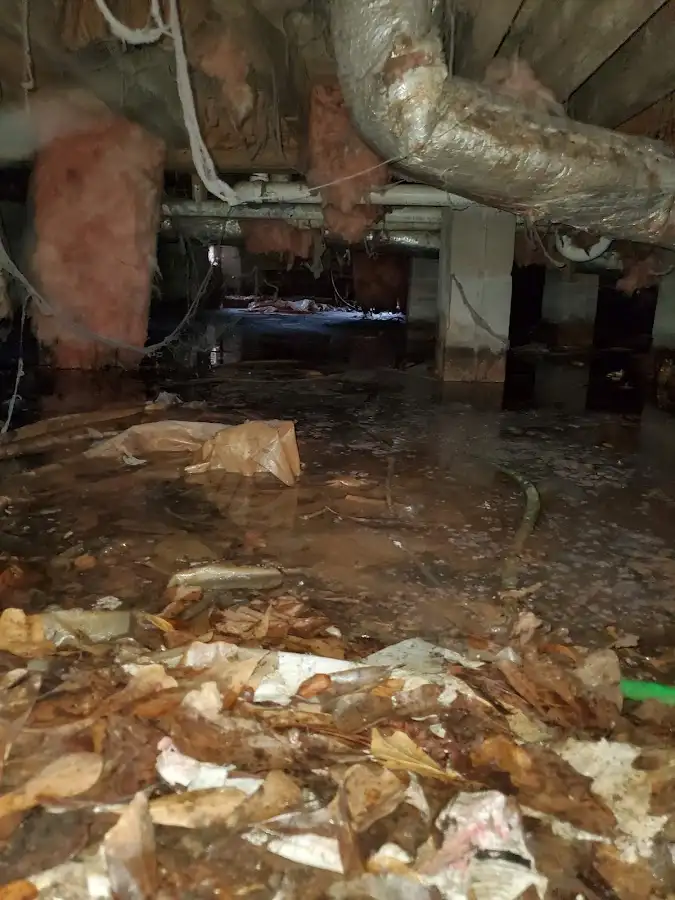 Crawl space flood assessment for Leak Detection & Repair in Greenbriar